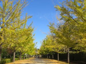 2026年10月23日