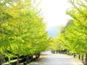 2026年10月23日