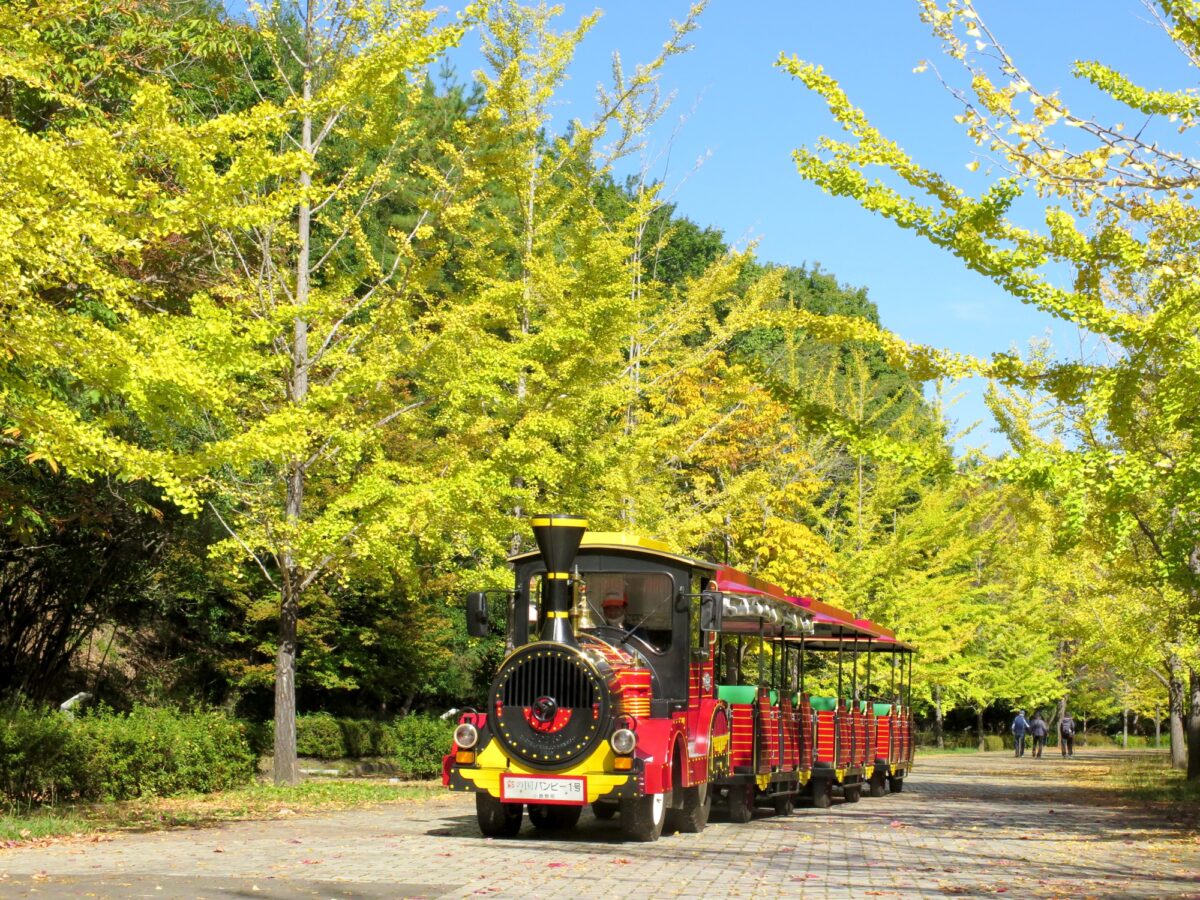2026年10月23日