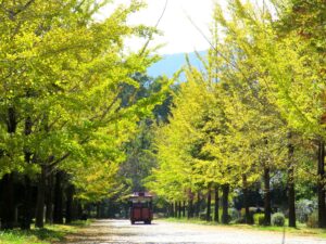 2026年10月23日