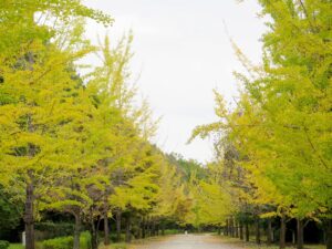 2026年10月30日