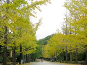 2026年10月30日