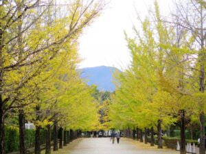 2026年10月30日