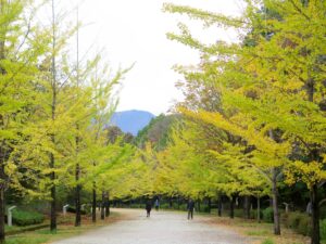 2026年10月30日