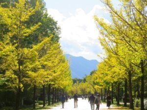 2026年10月31日
